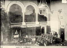 Albany. Senate, 1910