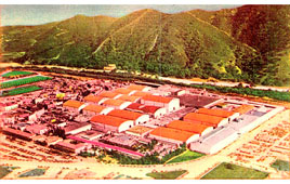 Burbank. Warner Bros. Studios, San Fernando Valley, 1940s