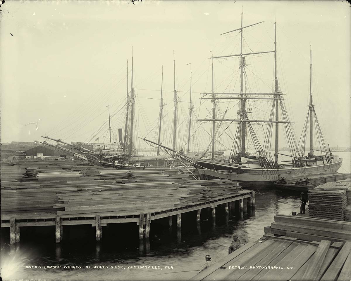 Jacksonville, Florida. Lumber wharfs on St John's River, circa 1890