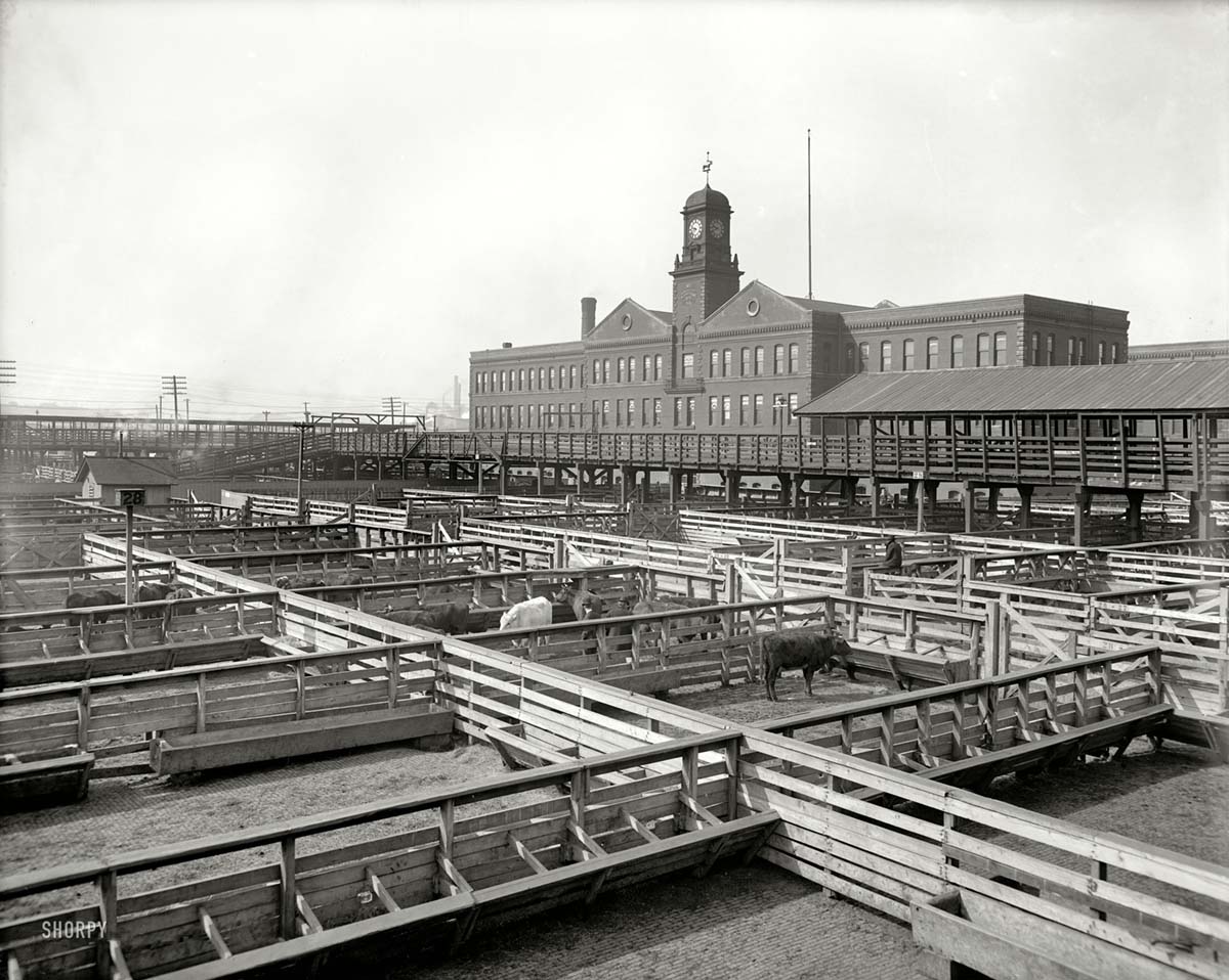 Kansas City. Kansas City livestock exchange, circa 1906