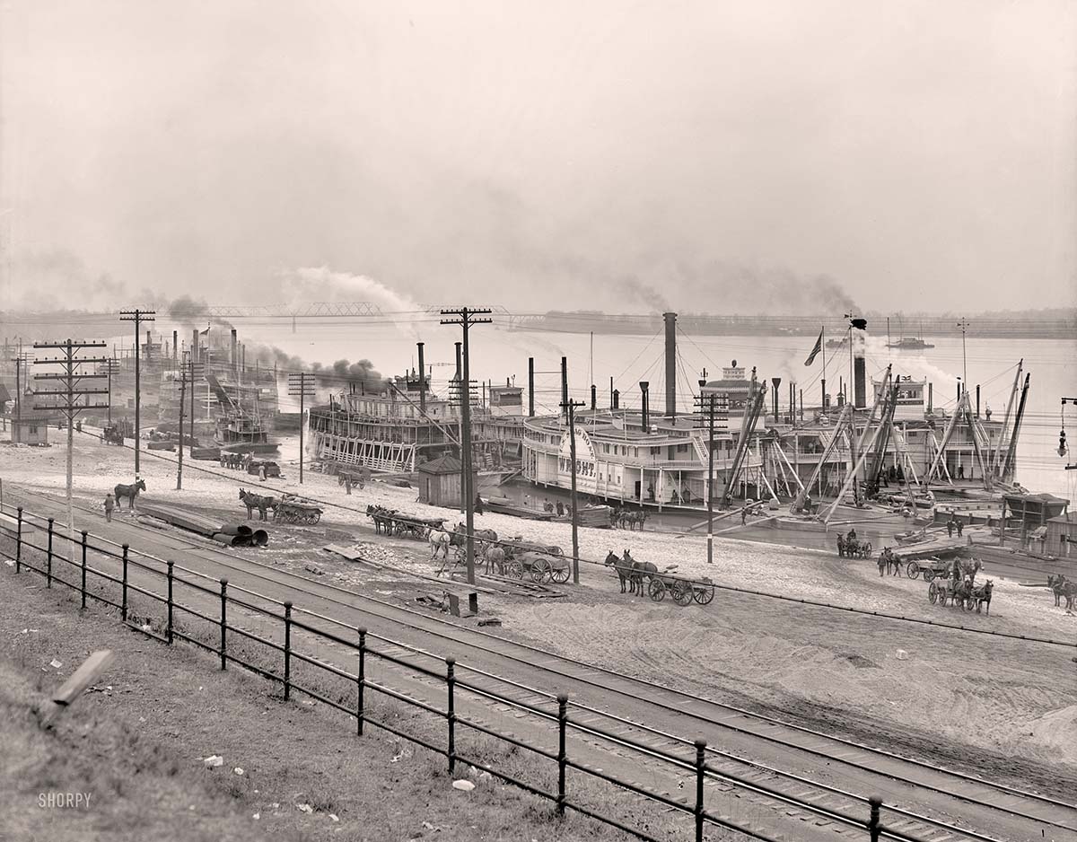 Memphis, Tennessee. Mississippi River levee from the bluff, 1906