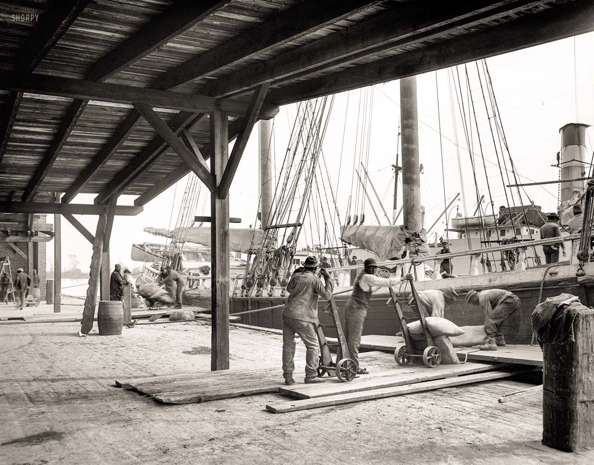 Savannah. Loading a phosphate schooner, circa 1906