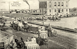Abilene. Cotton going to be weighed, 1900