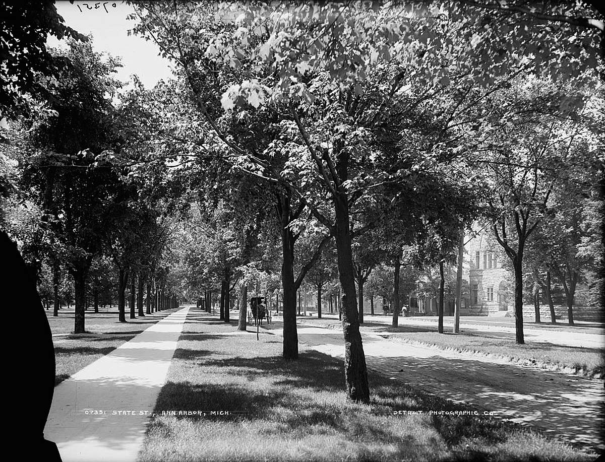 Ann Arbor, Michigan. State Street, 1880