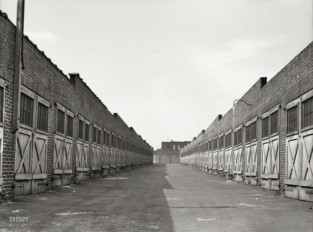 Baltimore. Garages in alley behind row houses, July 1938