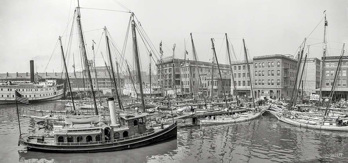 Baltimore. Oyster luggers at the docks, circa 1905
