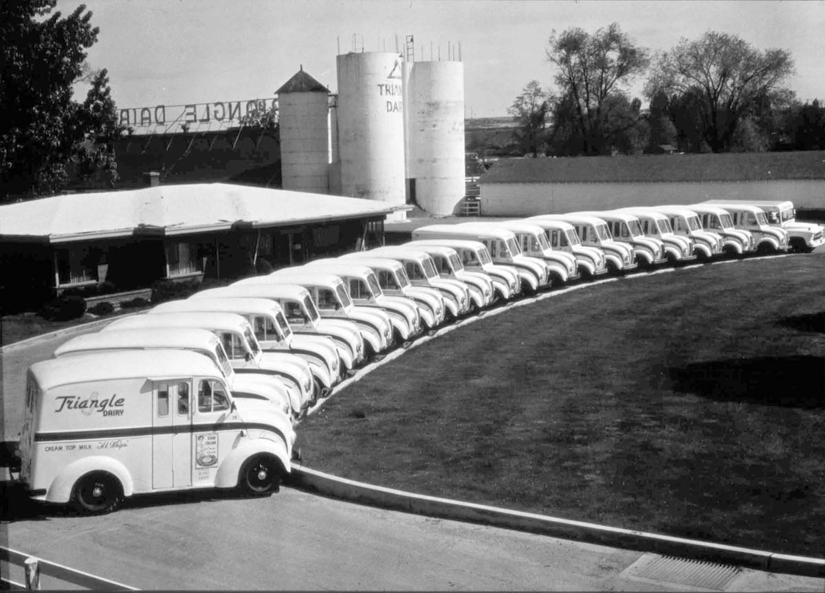 Boise. Triangle Dairy off Gekeler Lane, 1950