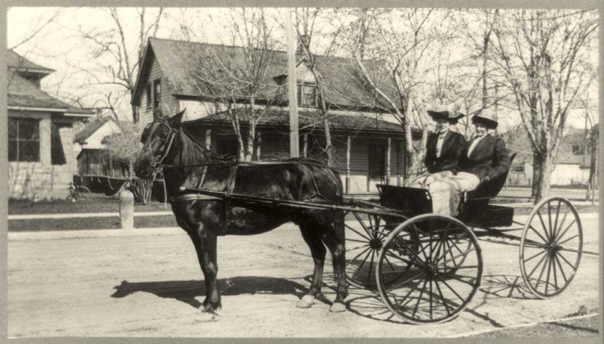 Boise. Women in a rig, 1910