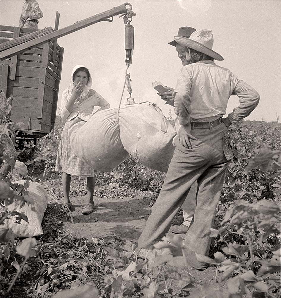 Brownsville, Texas. Cotton weighing near Brownsville, Aug, 1936