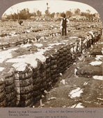 Dallas. Bales by the thousand, a mite of the great cotton crop of Dallas, 1907