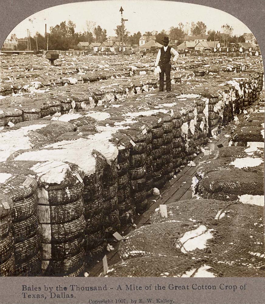 Dallas, Texas. Bales by the thousand, a mite of the great cotton crop of Dallas, 1907