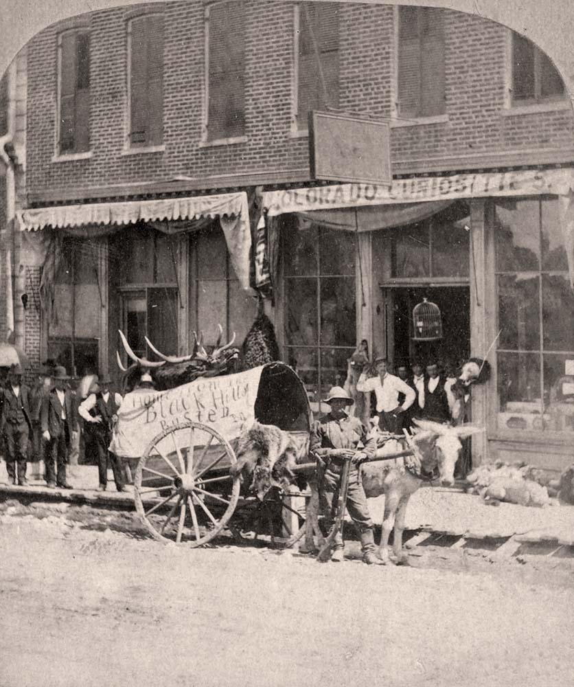 Denver, Colorado. 16th Street, circa 1875