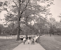 Louisville. Central Park, circa 1907