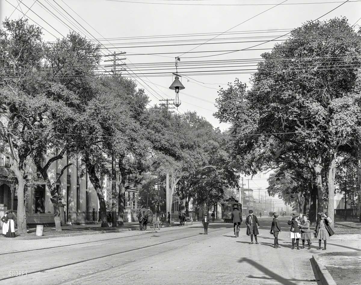 Mobile. Government Street, circa 1906