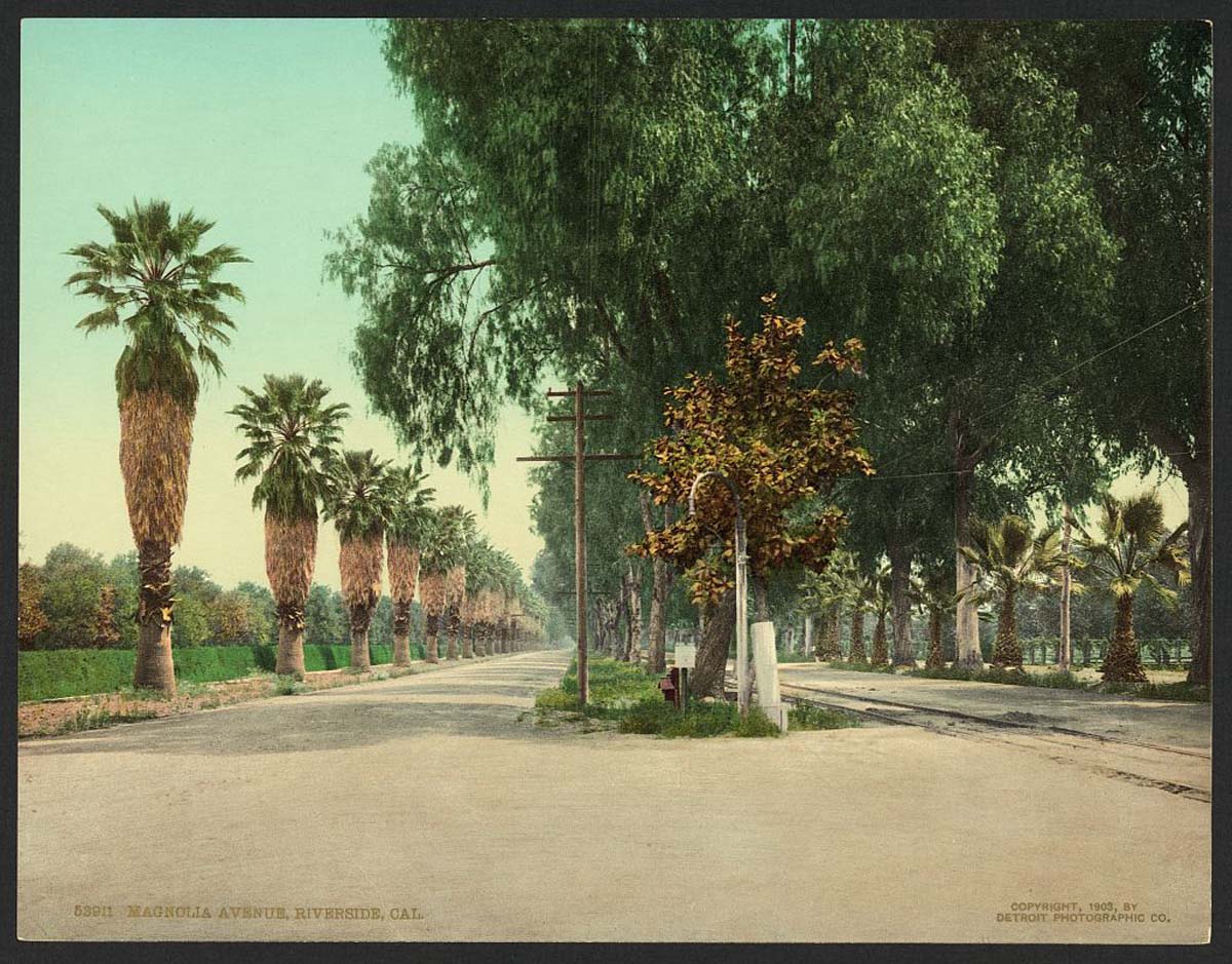 Riverside. Magnolia Avenue, 1903