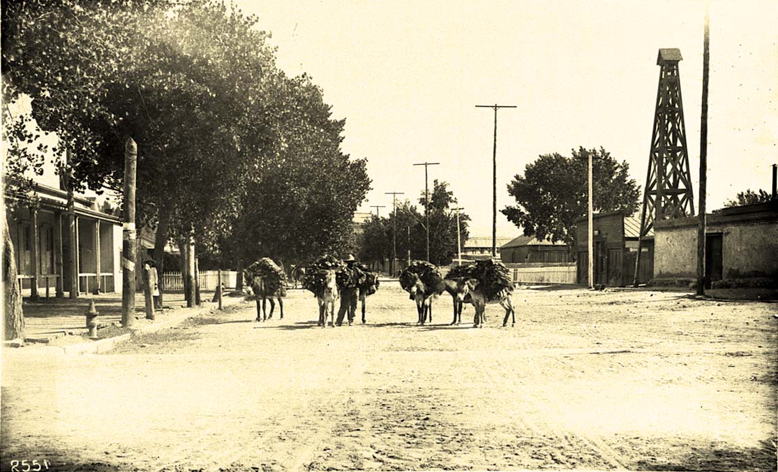 Santa Fe. Burro train at Fort Marcy, circa 1900