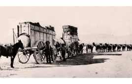 Tucson. A freight wagon train, 1880