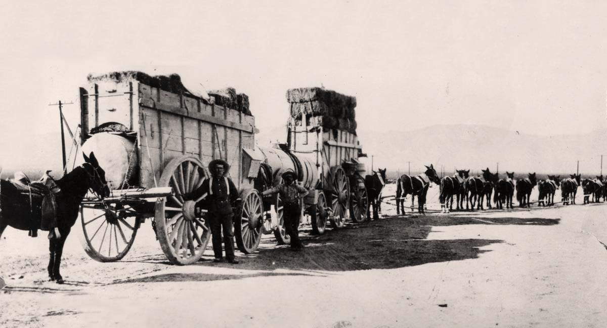Tucson, Arizona. A freight wagon train, 1880