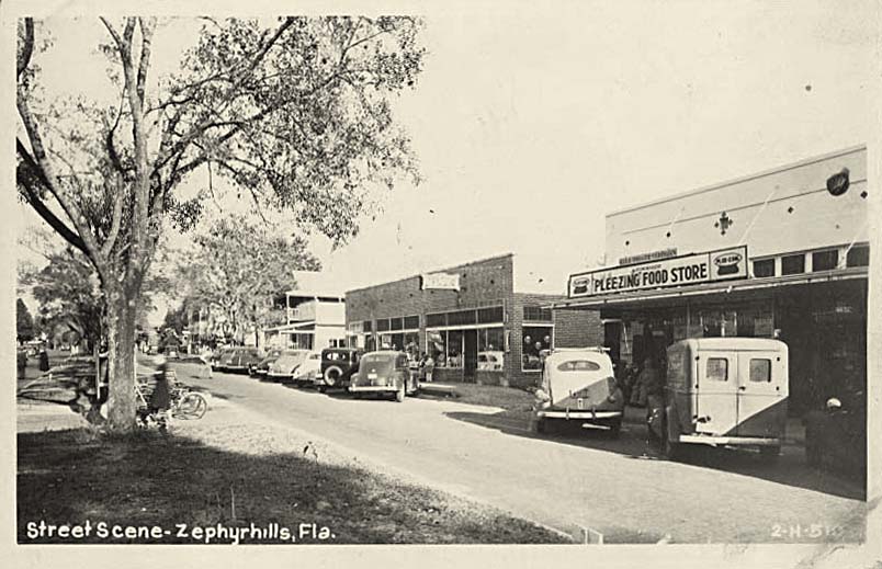 Zephyrhills. Panorama of town street, 1949